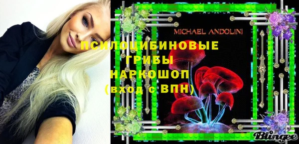 молекула духа Михайлов