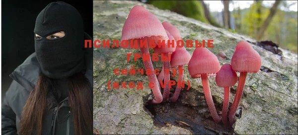 молекула духа Михайлов