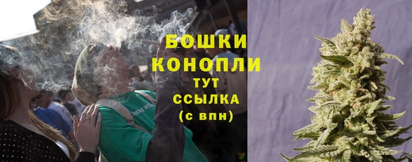 молекула духа Михайлов