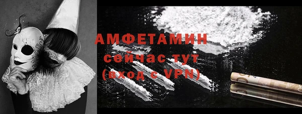молекула духа Михайлов